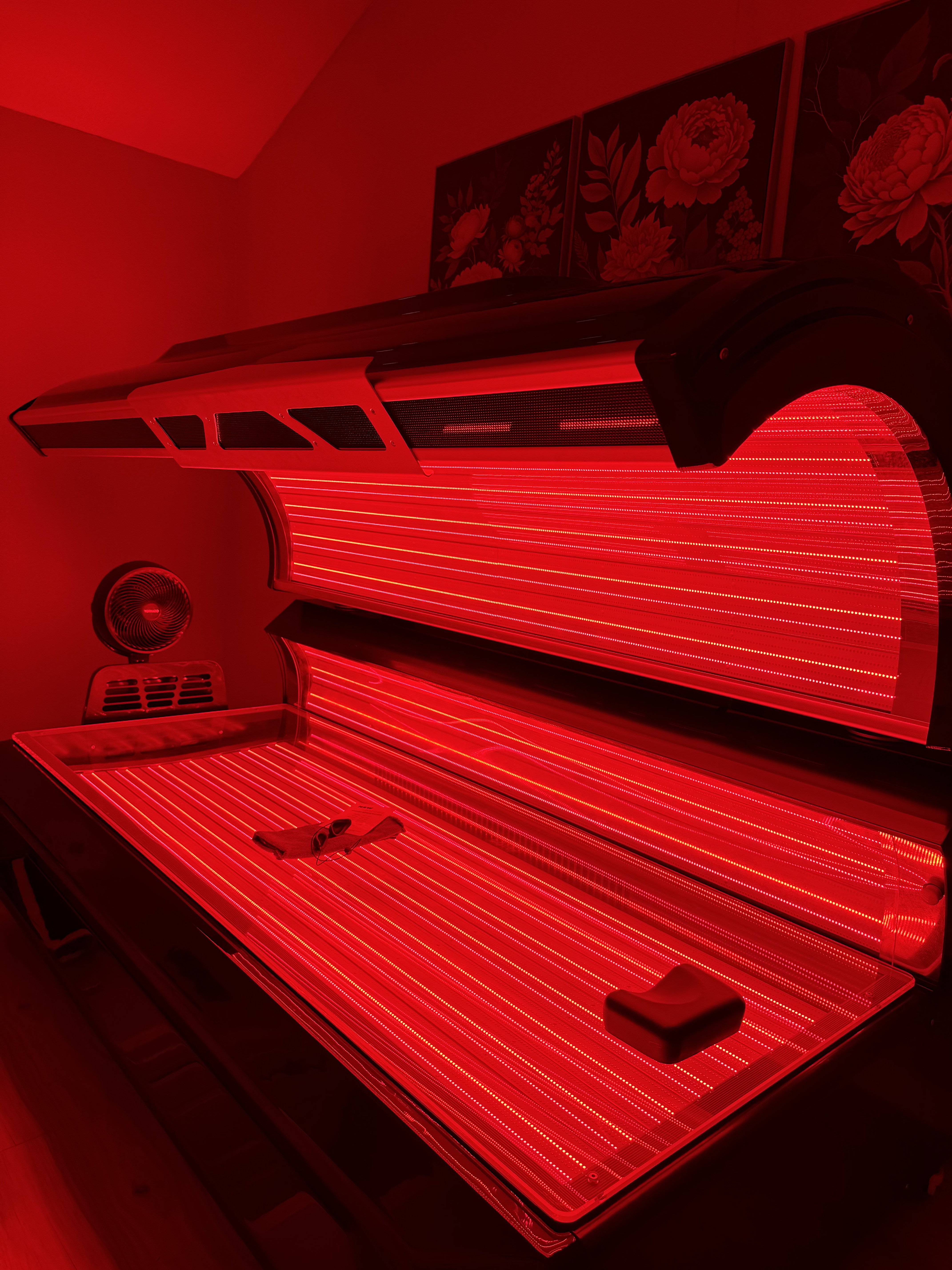 Desert Tan gallery photo 3